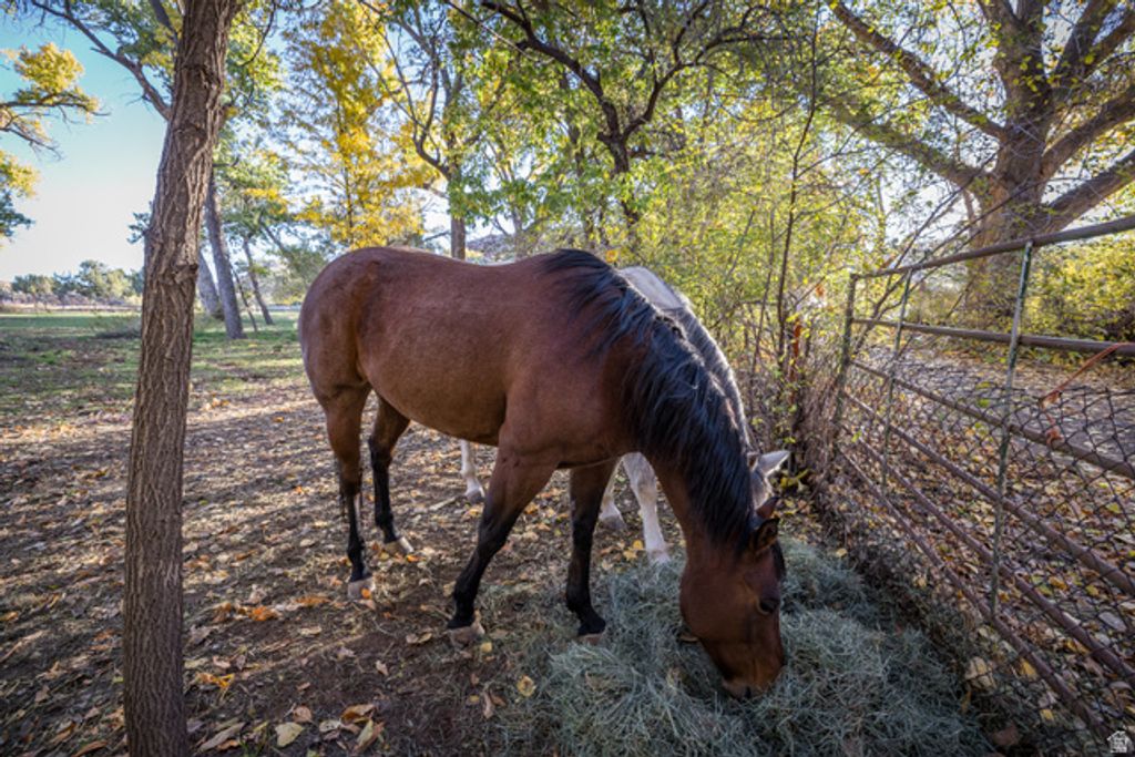 Image 17 of property listing at 2927 S EAST BENCH RD, Moab, UT 84532