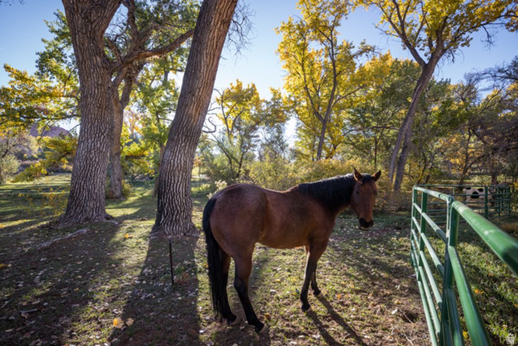 Image 18 of property listing at 2927 S EAST BENCH RD, Moab, UT 84532