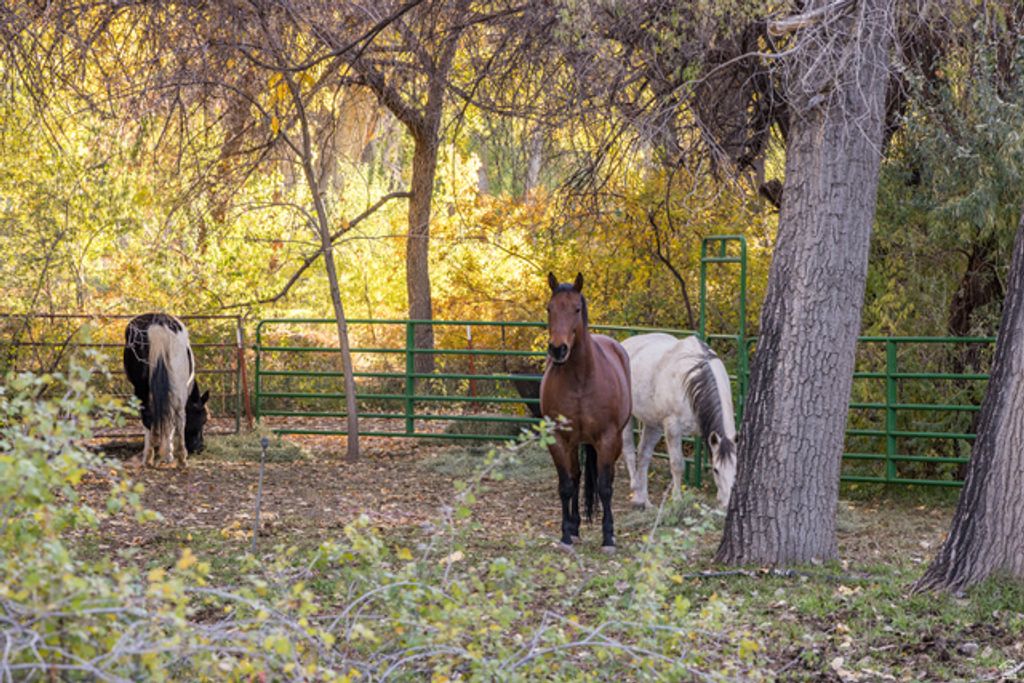 Image 26 of property listing at 2927 S EAST BENCH RD, Moab, UT 84532