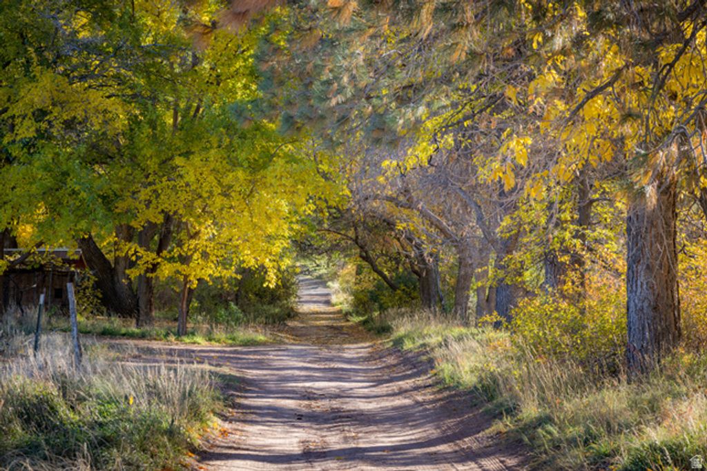 Image 6 of property listing at 2927 S EAST BENCH RD, Moab, UT 84532