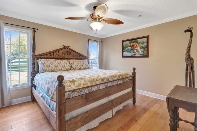 14951 THOROUGHBRED LANE, Montverde, FL 34756