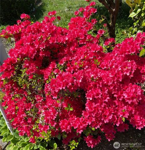 4214 NE 2nd Street, Renton, WA 98059