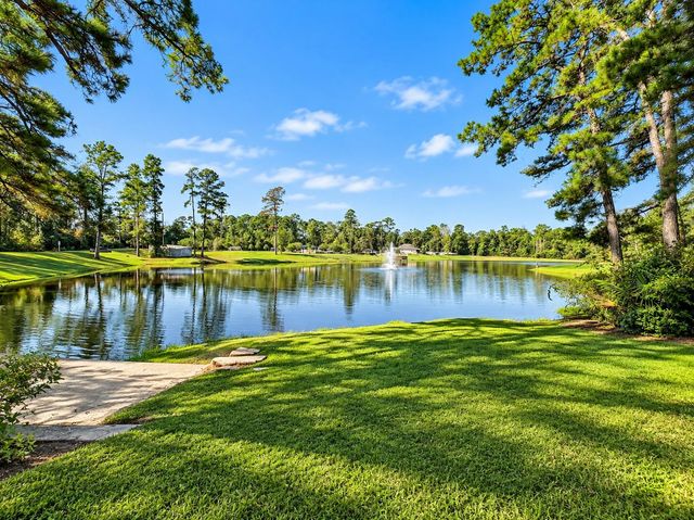 266 Stalwart Hill Trail, Magnolia, TX 77354