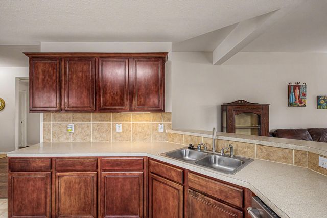 19510 Tahoka Springs Drive, Katy, TX 77449