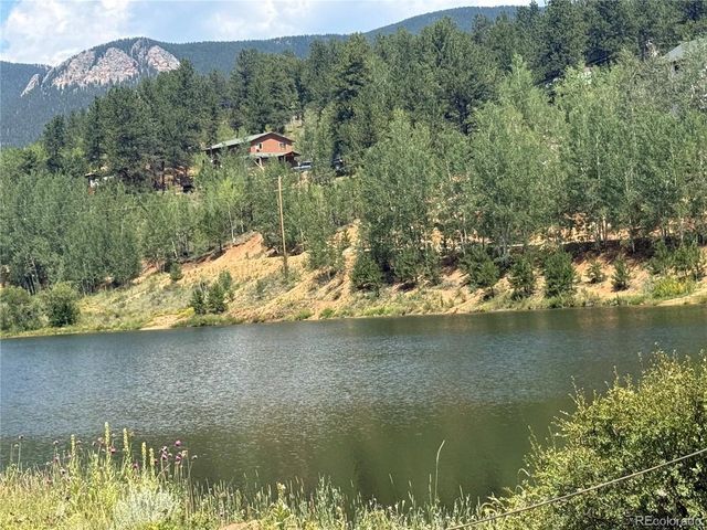 63 Fitzsimmons Rd, Bailey, CO 80421