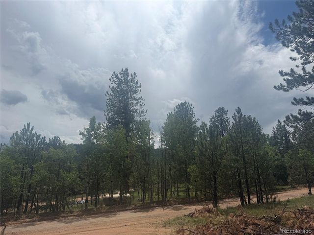 63 Fitzsimmons Rd, Bailey, CO 80421