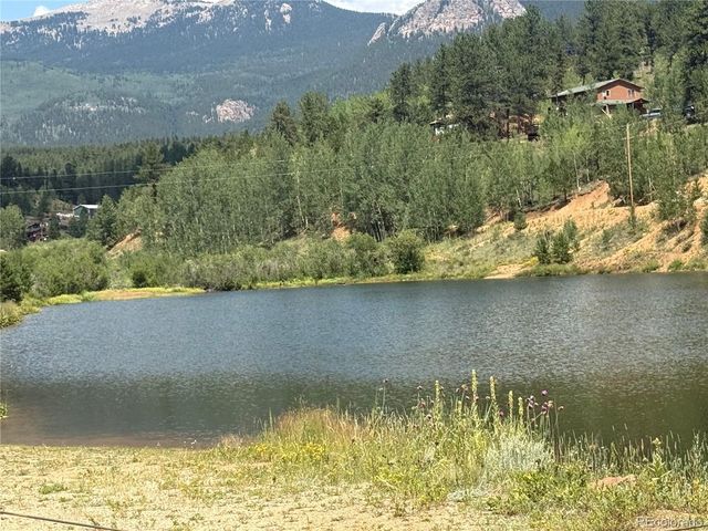 63 Fitzsimmons Rd, Bailey, CO 80421