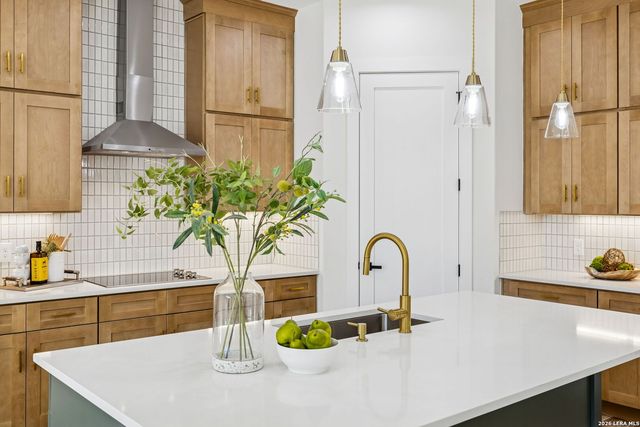 290 Restless Wind, Spring Branch, TX 78070