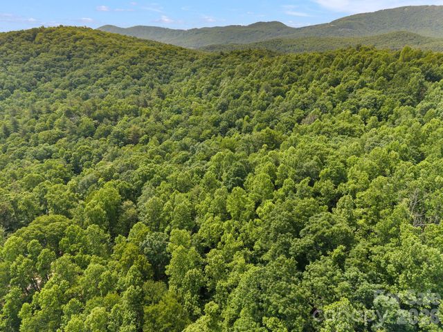 145 Hickory Tree Lane, Hendersonville, NC 28739