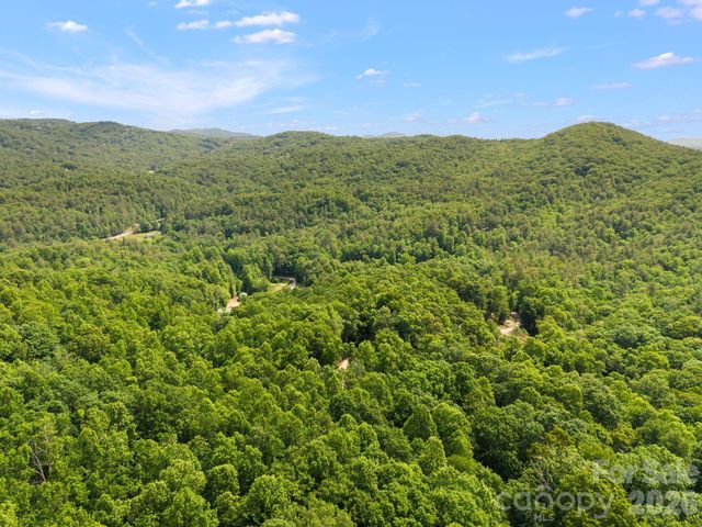 145 Hickory Tree Lane, Hendersonville, NC 28739