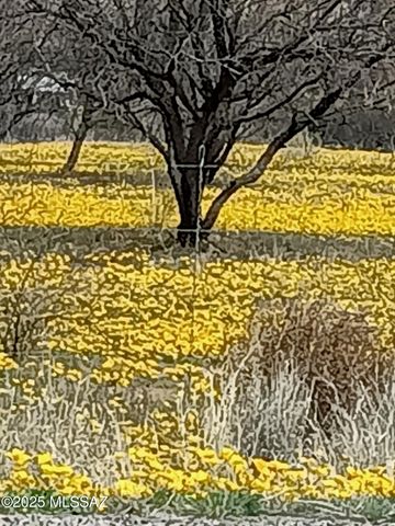 517 Kino Springs Drive, Nogales, AZ 85621