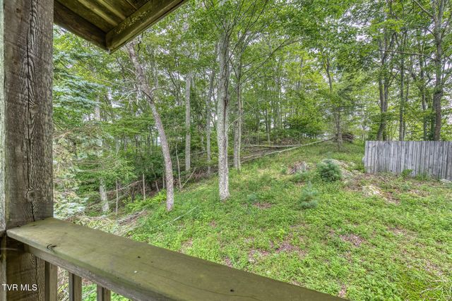 6688 Callalantee Drive, Mountain City, TN 37683