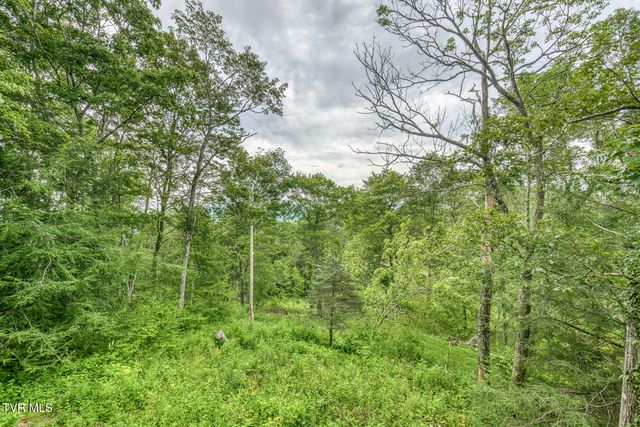 6688 Callalantee Drive, Mountain City, TN 37683