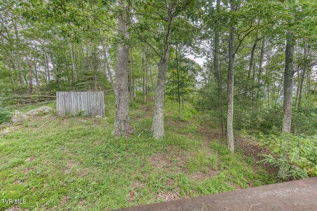 6688 Callalantee Drive, Mountain City, TN 37683