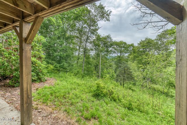 6688 Callalantee Drive, Mountain City, TN 37683