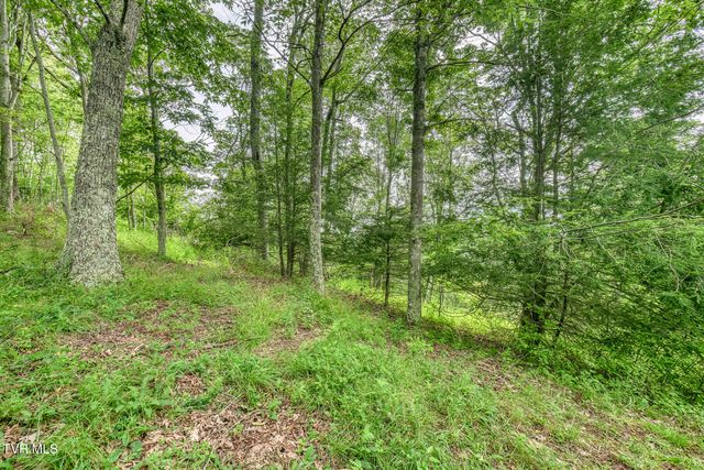 6688 Callalantee Drive, Mountain City, TN 37683