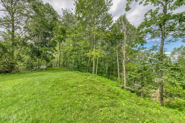 6688 Callalantee Drive, Mountain City, TN 37683