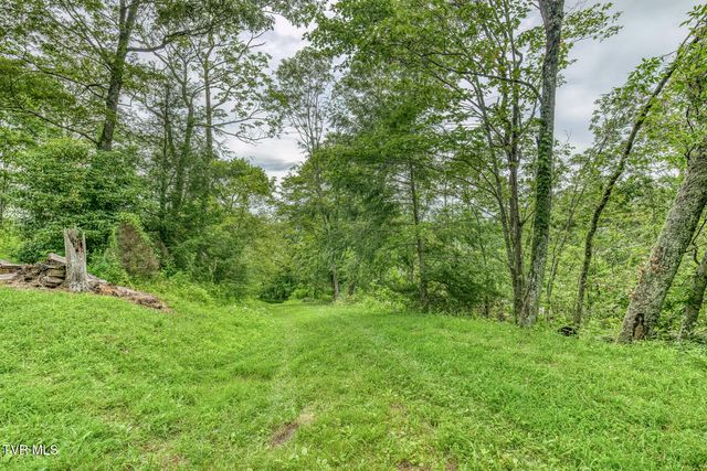 6688 Callalantee Drive, Mountain City, TN 37683