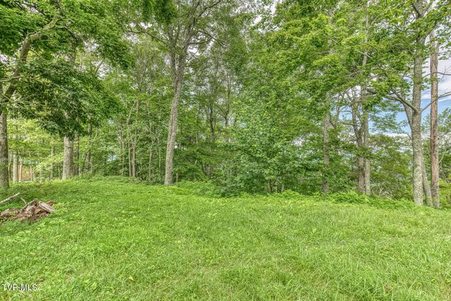 6688 Callalantee Drive, Mountain City, TN 37683