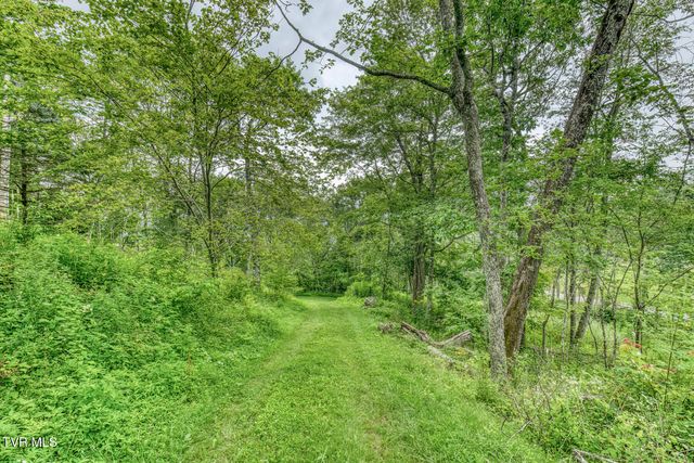 6688 Callalantee Drive, Mountain City, TN 37683