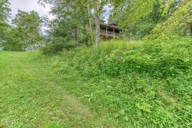 6688 Callalantee Drive, Mountain City, TN 37683