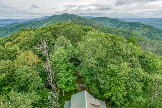 6688 Callalantee Drive, Mountain City, TN 37683