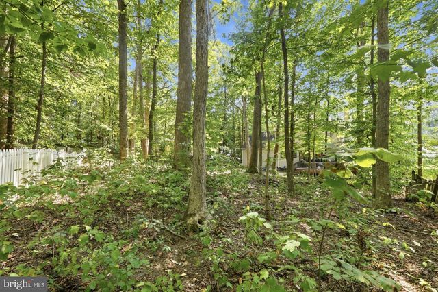 6224 FOREST GROVE DR, Fredericksburg, VA 22407