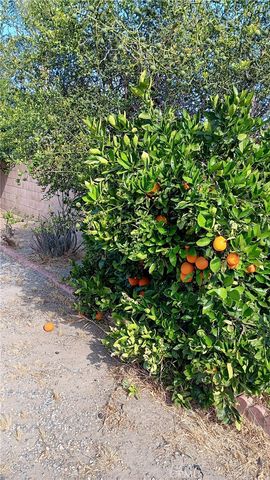 25965 New Chicago, Hemet, CA 92544