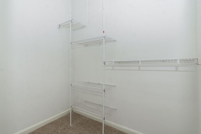 29019 Stapleford Street, Spring, TX 77386