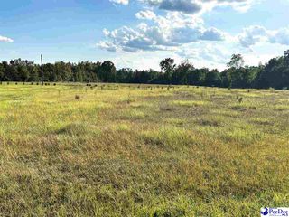 3699 S Hill RD, Timmonsville, SC 29161