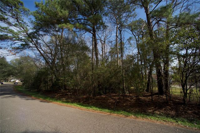 20 Brandon Road, Conroe, TX 77302