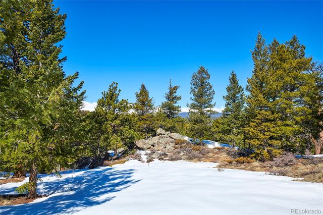 815 Cougar Run, Nederland, CO 80466