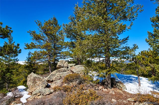 815 Cougar Run, Nederland, CO 80466