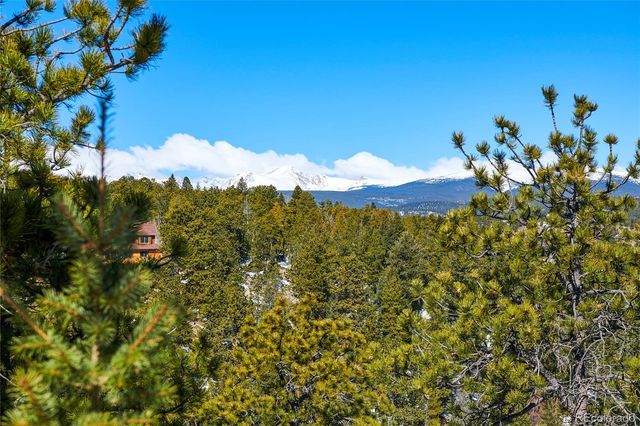 815 Cougar Run, Nederland, CO 80466