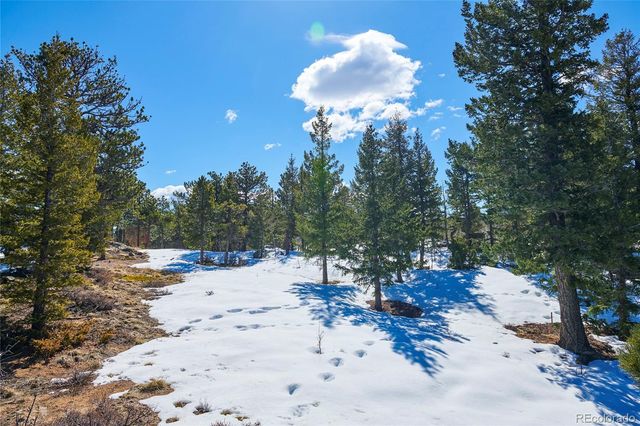 815 Cougar Run, Nederland, CO 80466