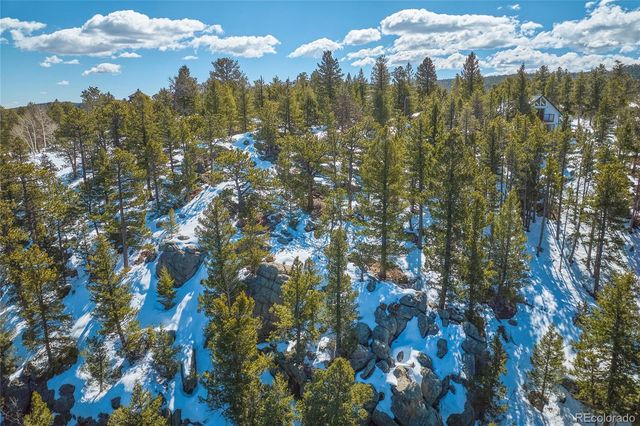 815 Cougar Run, Nederland, CO 80466