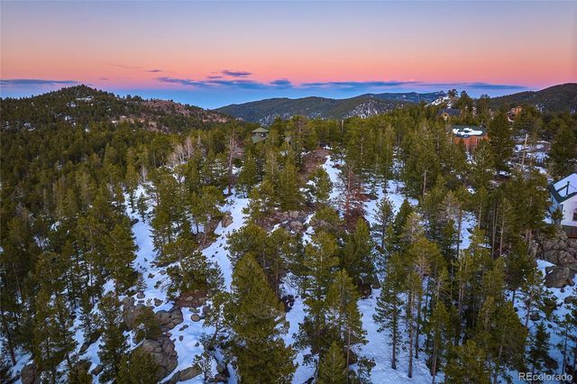 815 Cougar Run, Nederland, CO 80466