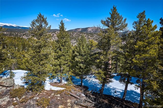 815 Cougar Run, Nederland, CO 80466