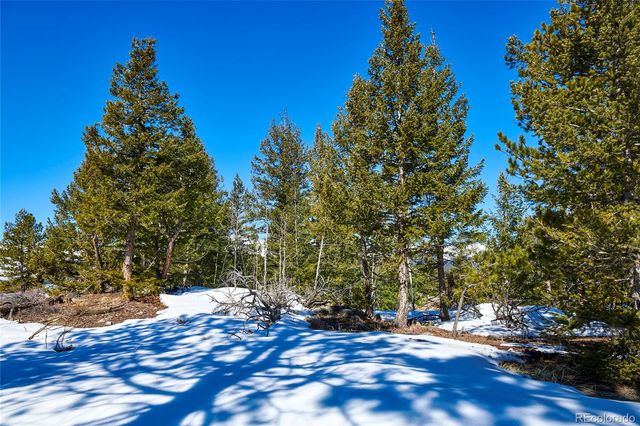 815 Cougar Run, Nederland, CO 80466