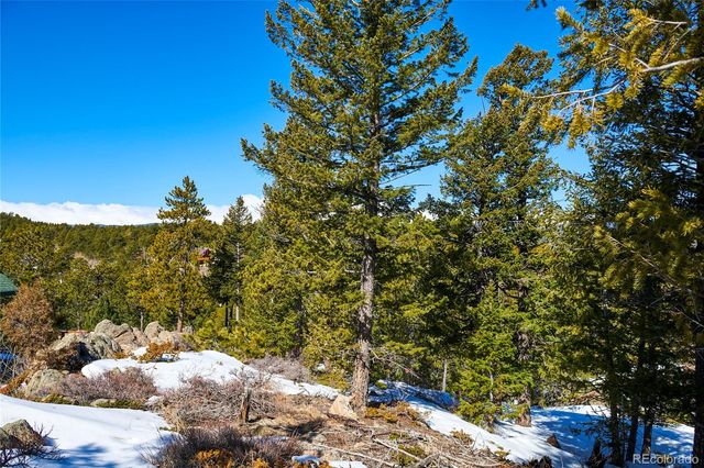 815 Cougar Run, Nederland, CO 80466