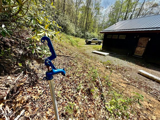 41/Ac Tbd Roan Creek Rd, 2, Butler, TN 37640