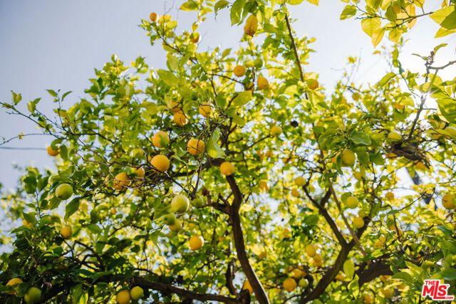 2610 Mandeville Canyon Road, Los Angeles, CA 90049