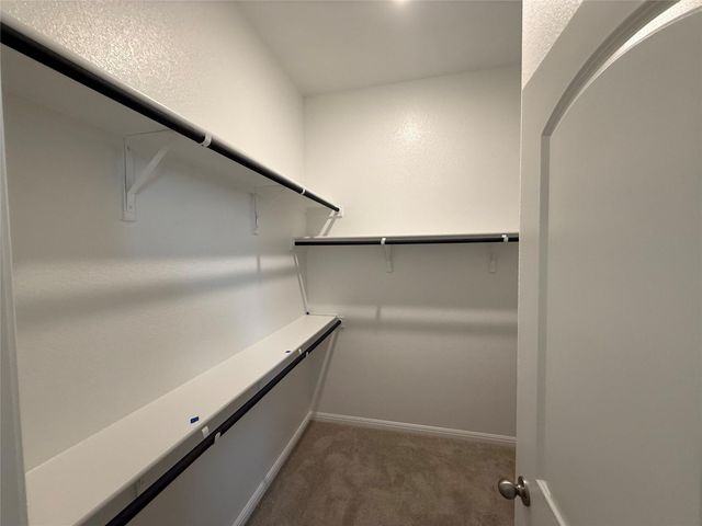 121 Knockout Rose DR, San Marcos, TX 78666