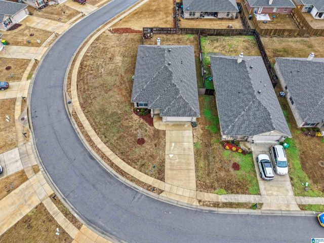 415 BLACK CREEK TRAIL, Margaret, AL 35120