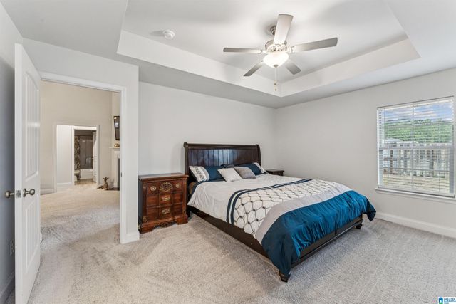 415 BLACK CREEK TRAIL, Margaret, AL 35120