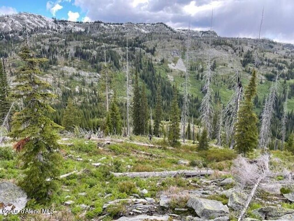 NKA 640 AC Shoot Creek Road, unincorporated, ID 83525 photo 15