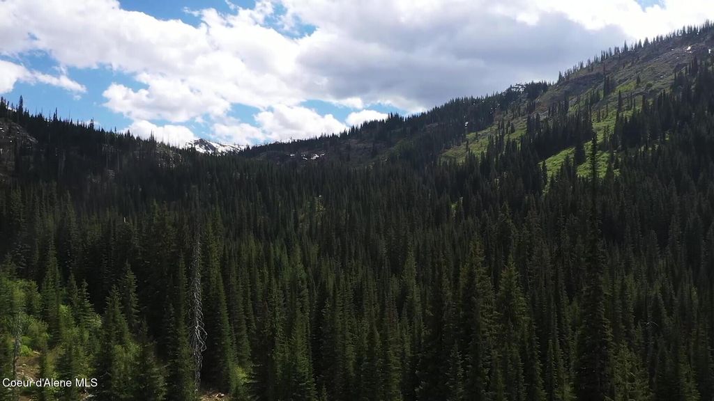 NKA 640 AC Shoot Creek Road, unincorporated, ID 83525 photo 19