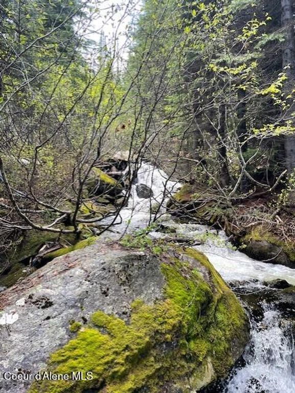 NKA 640 AC Shoot Creek Road, unincorporated, ID 83525 photo 3