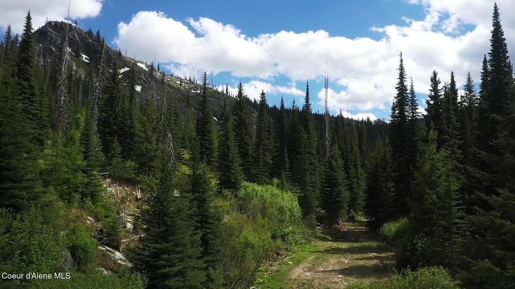 NKA 640 AC Shoot Creek Road, unincorporated, ID 83525 photo 7