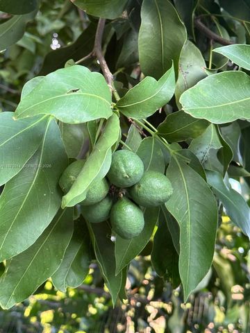 20825 SW 242nd St, Homestead, FL 33031